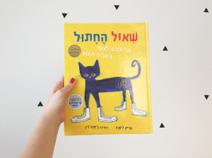 שאול החתול