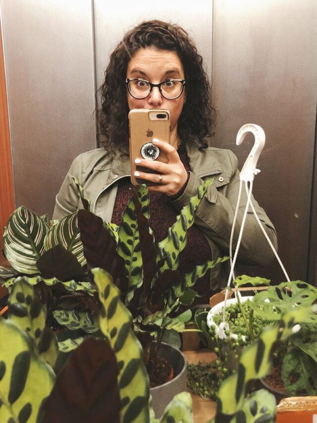 איך להכניס ירוק הביתה? יומן מסע לצמחי בית